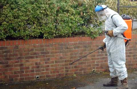 Commercial weed control operative treating outdoor hard surfaces and grounds